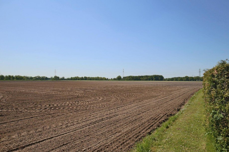 angrenzendes Feld Bungalow Gro�enaspe