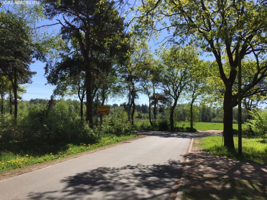 Spazierweg in QH Haus Quickborn-Heide