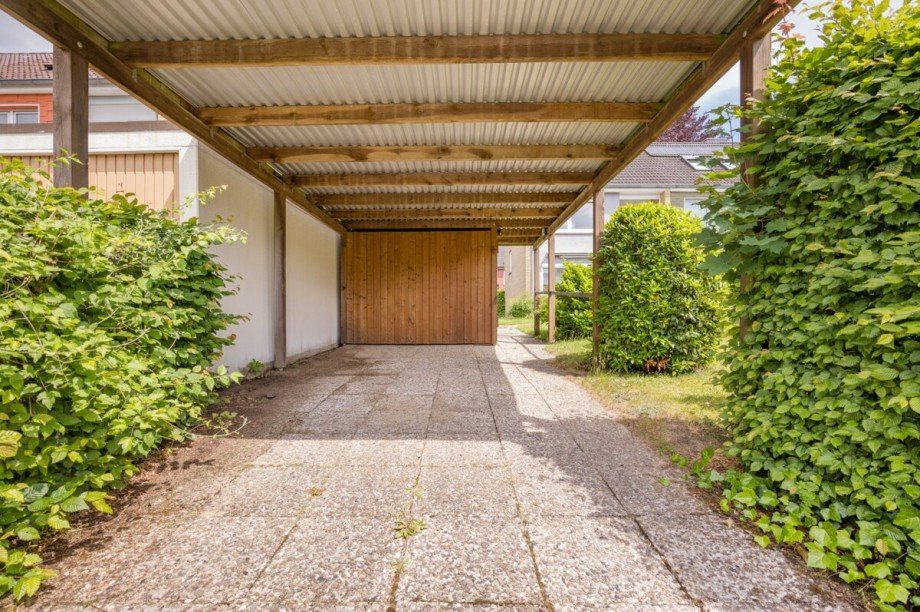 Caprot mit Schuppen Reihenendhaus Norderstedt