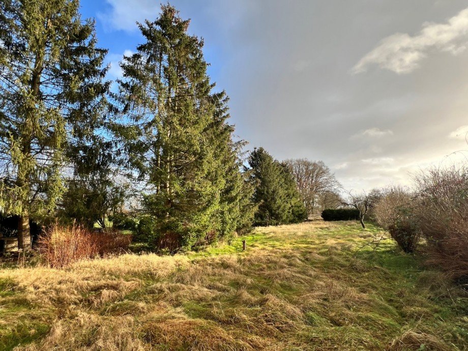 Blick zur Feldrandlage Stadthaus Tangstedt