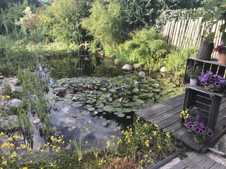 Gartenteich Einfamilienhaus Hartenholm
