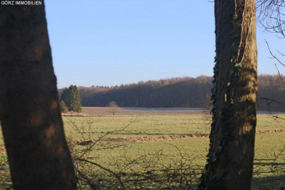 Mit der Natur auf Du und Du Einfamilienhaus Sieversh�tten