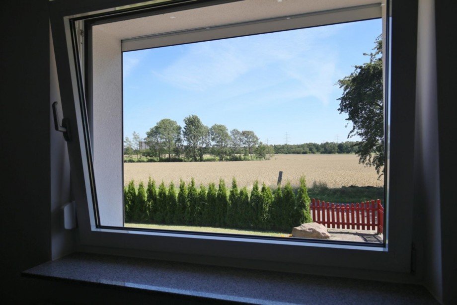 Blick vom Wohnzimmer Bungalow Norderstedt