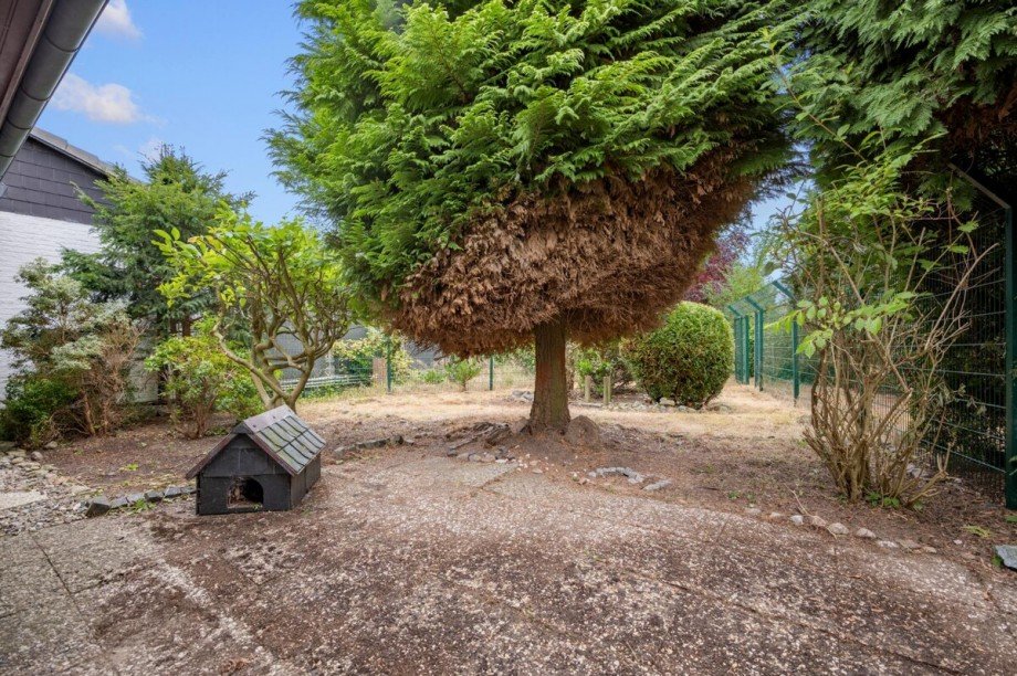 Terrasse Bungalow Nahe