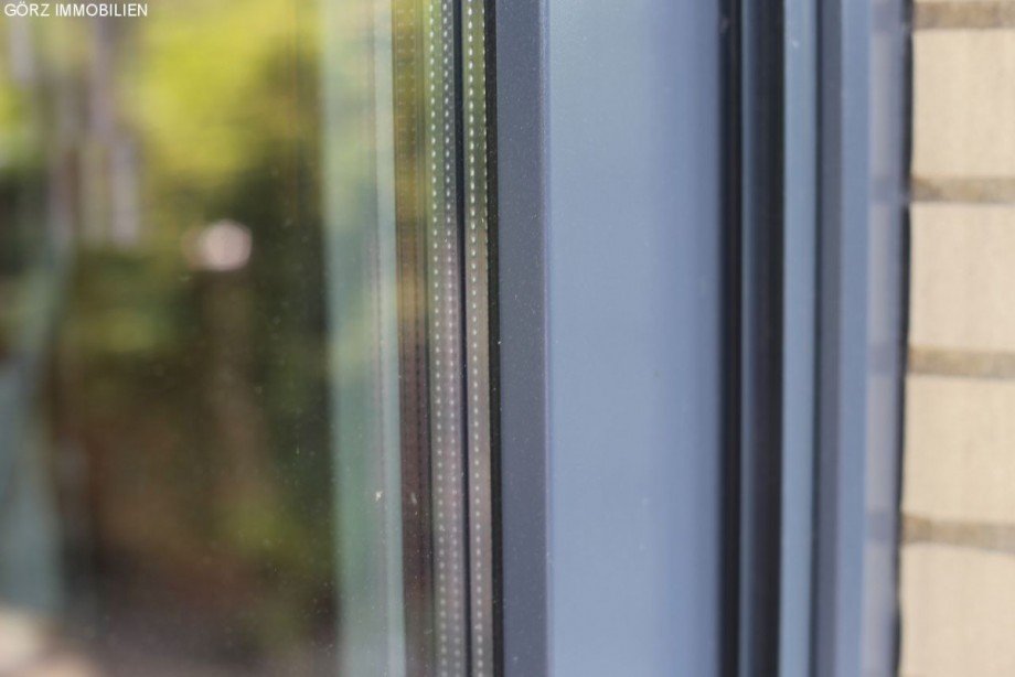 neue Fenster Einfamilienhaus Pinneberg