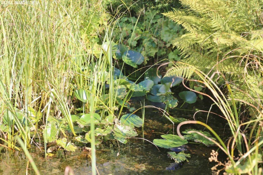 Teich Bungalow Appen