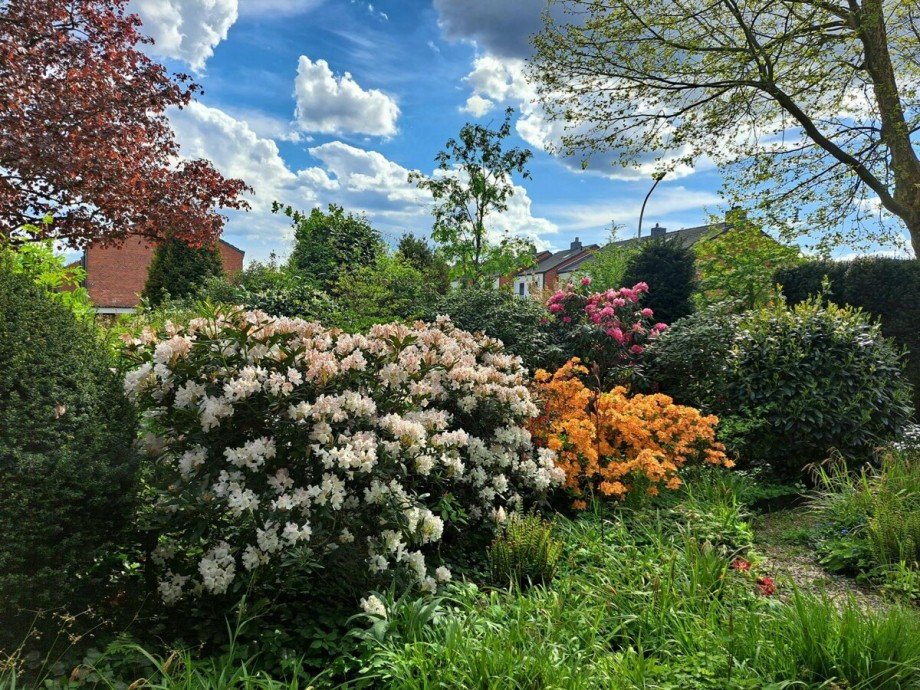Garten Reihenendhaus Norderstedt
