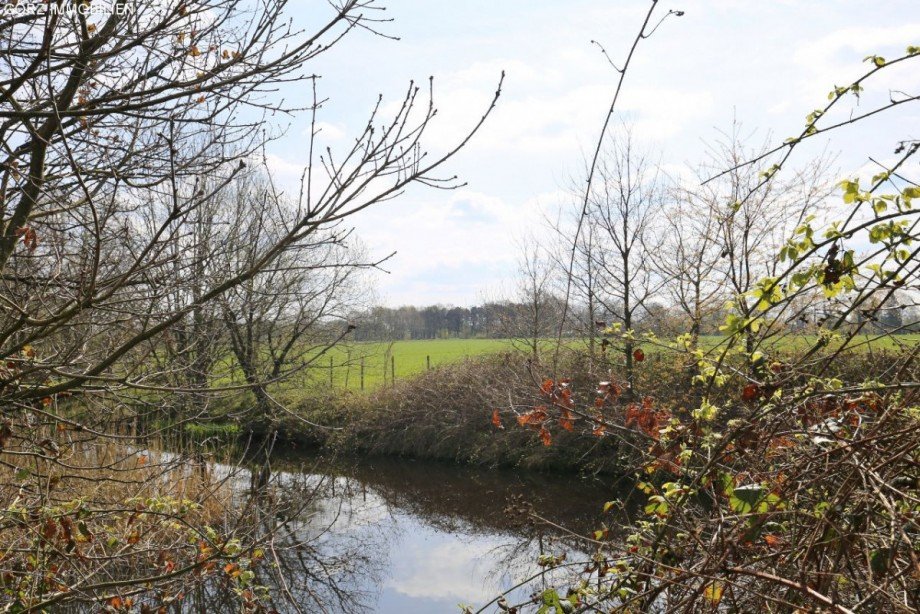 Sehr idyllische Alleinlage Mehrfamilienhaus Lutzhorn