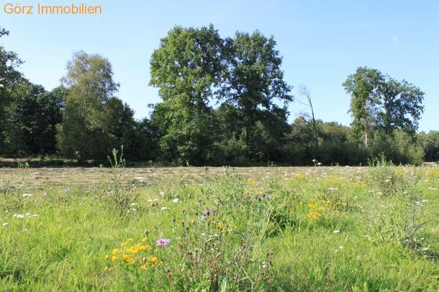 Landschaftsschutzgebiet Einfamilienhaus Norderstedt