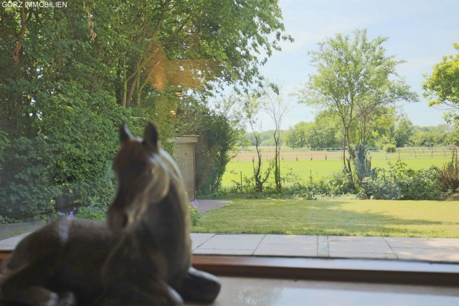 Blick aus Ihrem Wohnzimmer Einfamilienhaus Norderstedt