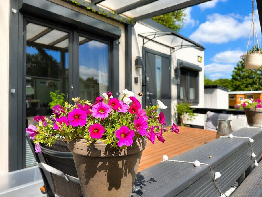 und Blumenpracht Haus Itzstedt