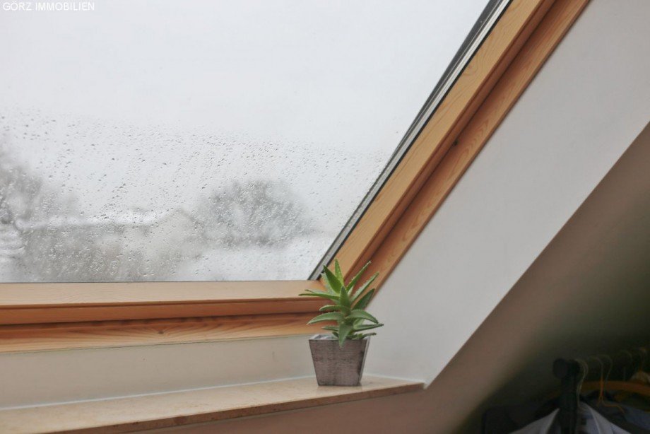 gro�e Veluxfenster Reihenhaus Norderstedt