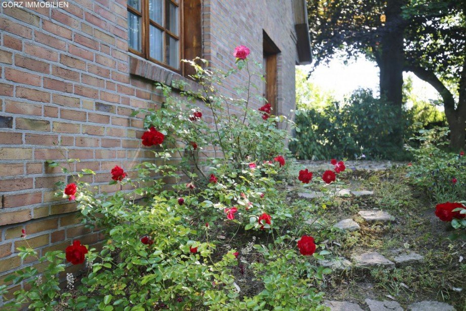 Liebevolle Bepflanzung Einfamilienhaus Henstedt-Ulzburg