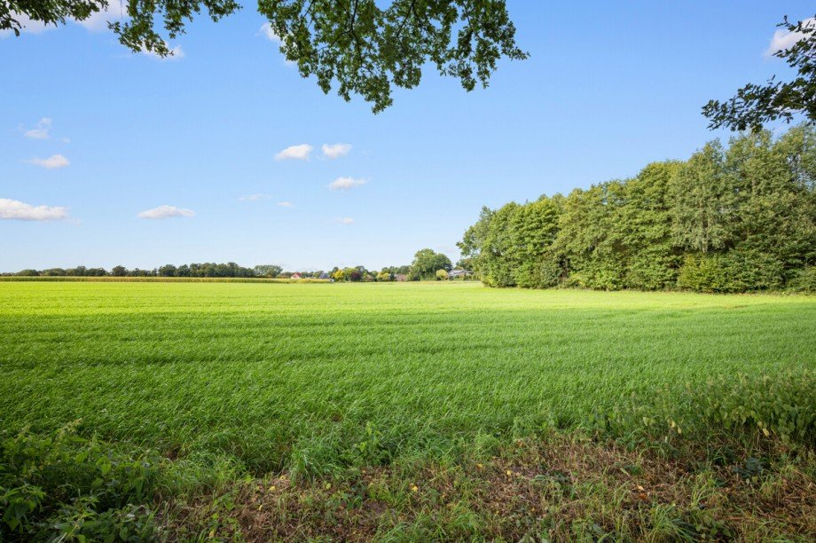  Einfamilienhaus Lutzhorn