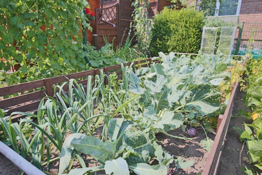 Gem�segarten Einfamilienhaus Kaltenkirchen