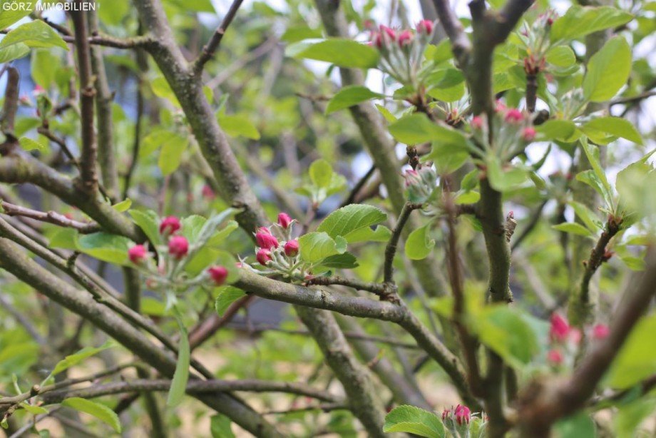  Bungalow Norderstedt