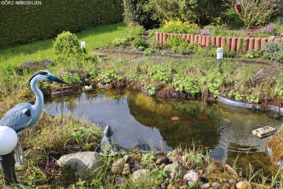 Viel Leben im Teich Reihenendhaus Norderstedt