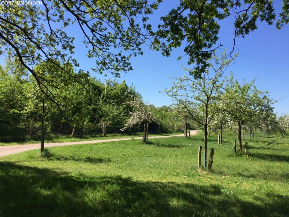 Spazierweg in QH Haus Quickborn-Heide