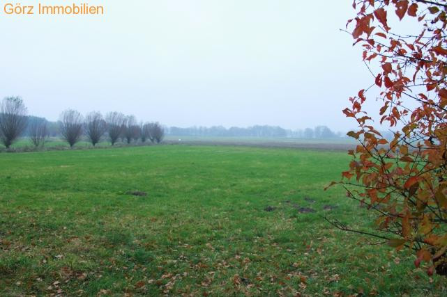 Wiese zum Haus Haus Wakendorf