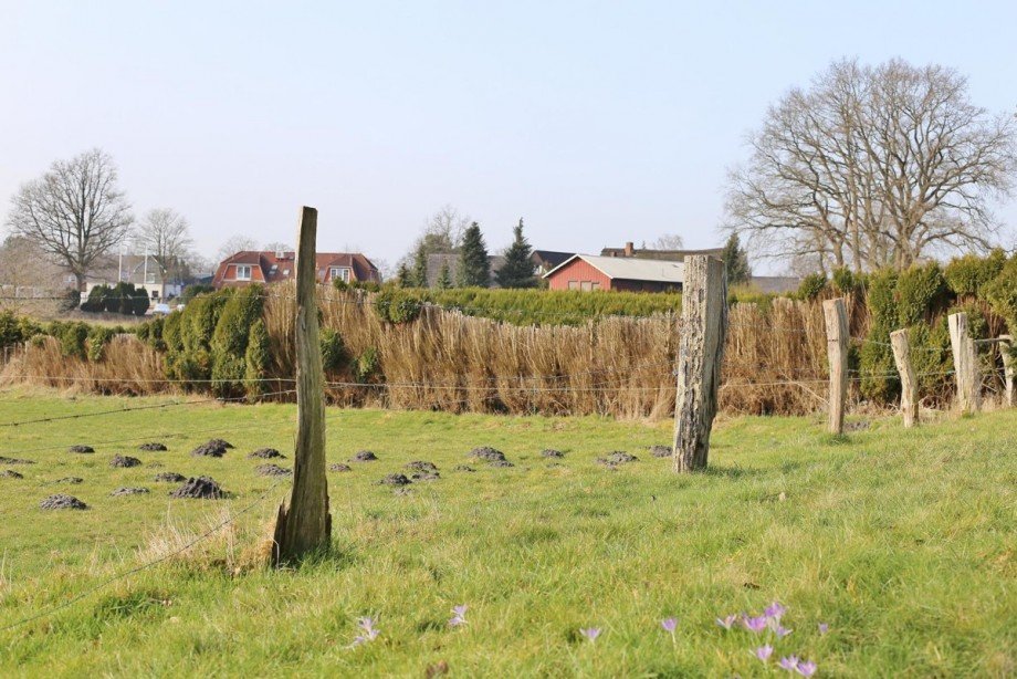  Einfamilienhaus Itzstedt