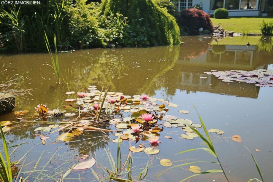 Gartenteich B�rohaus Kaltenkirchen