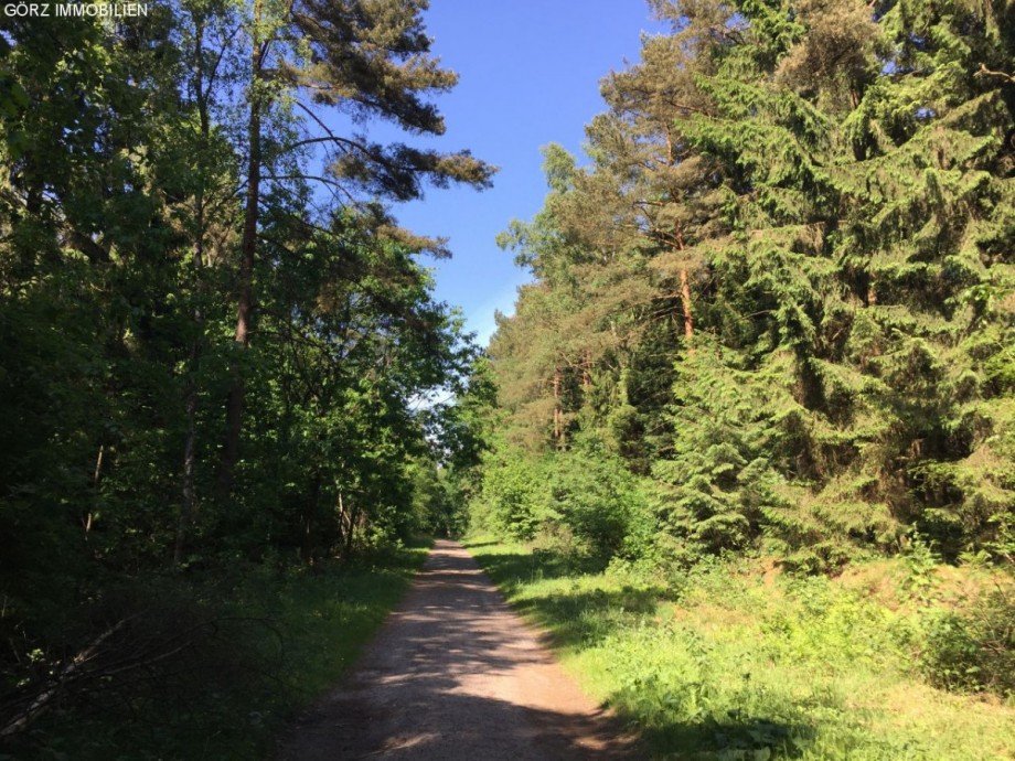 Spazierweg im Wald Haus Quickborn-Heide