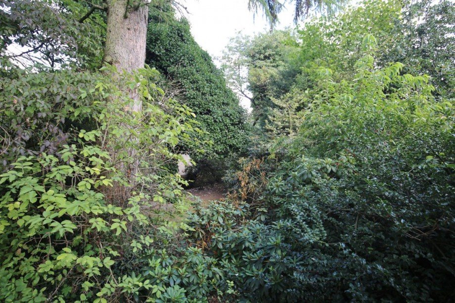 eingewachsen Einfamilienhaus Quickborn