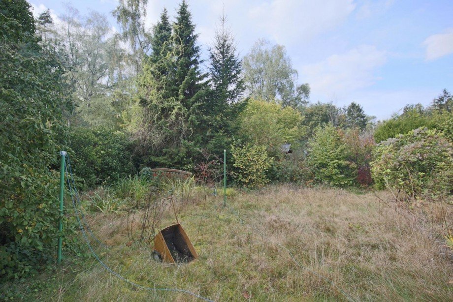 eingewachsener Garten Einfamilienhaus Henstedt-Ulzburg