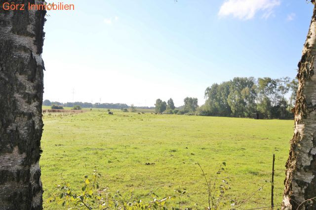 Dieses Feld ist nur ca. 10 Meter vom Haus entfernt Reihenendhaus Quickborn-Heide
