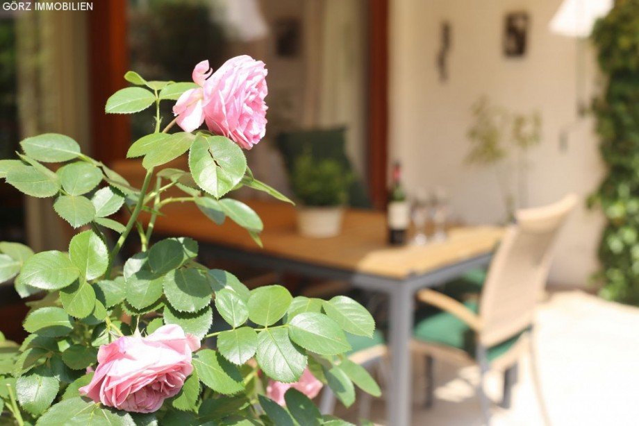 Rosen an der Terrasse Reihenmittelhaus Norderstedt
