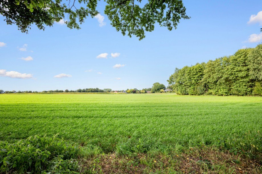  Einfamilienhaus Lutzhorn