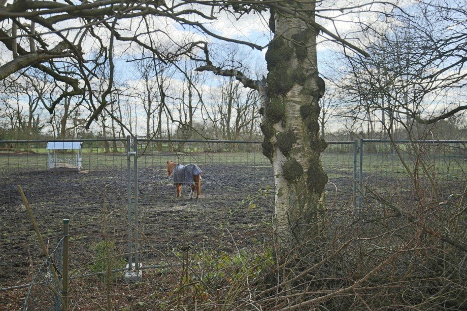 Blick auf eine Pferdekoppel Wohngrundst�ck Quickborn