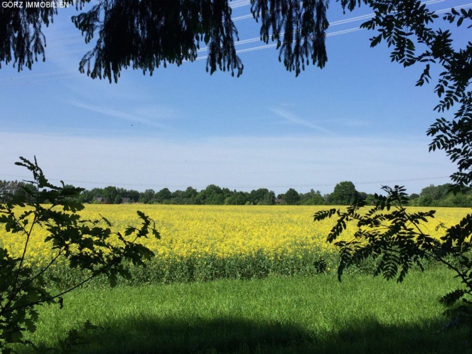 angrenzendes Feld Haus Quickborn-Heide