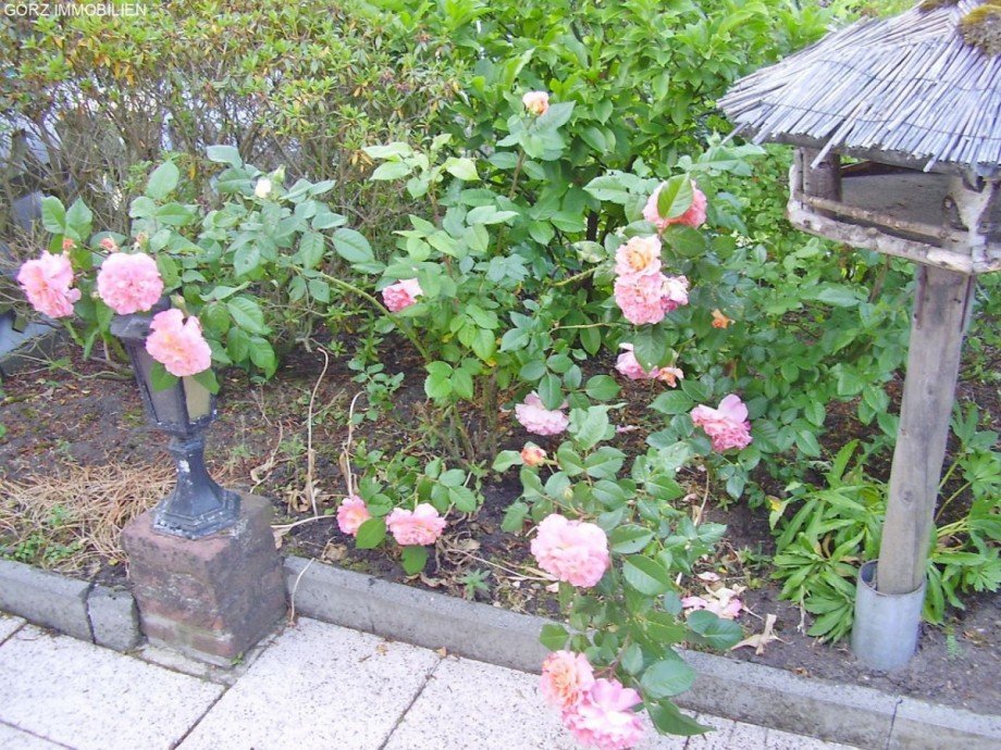 Gartenidylle Reihenendhaus Norderstedt
