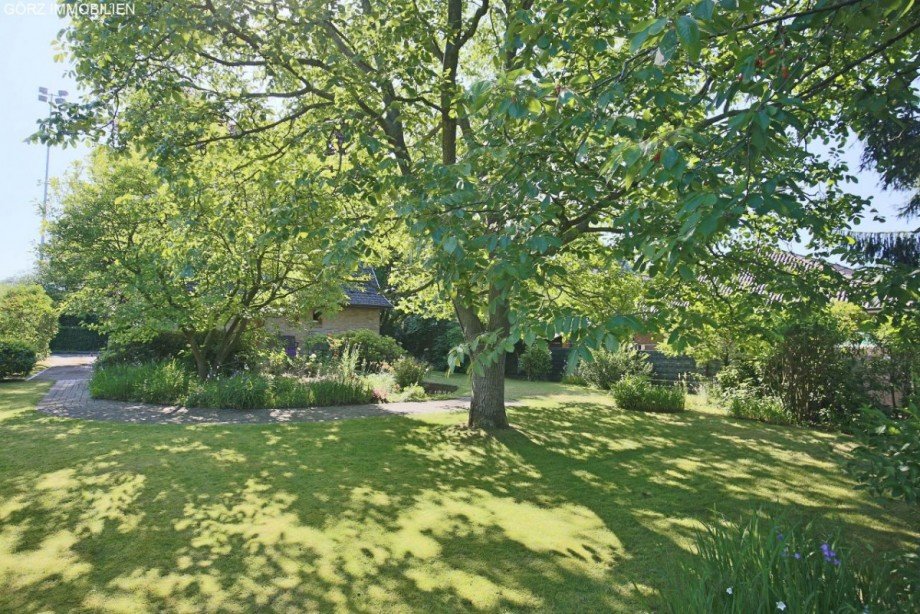 Walnussbaum Einfamilienhaus Henstedt-Ulzburg