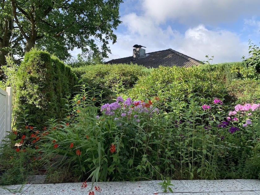 Sommerbl�te Reihenendhaus Norderstedt