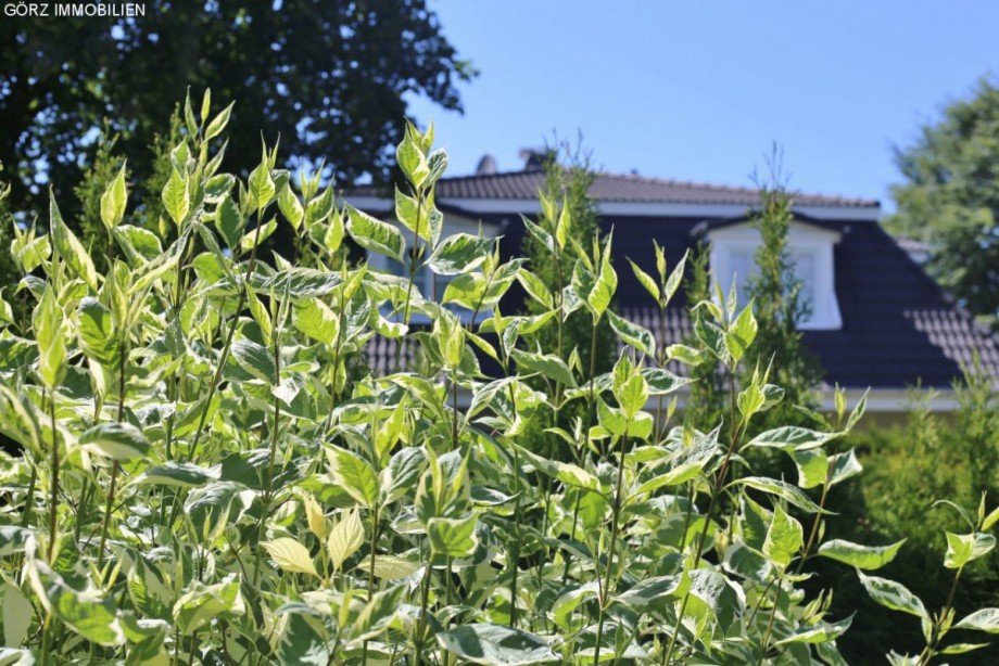 es gr�nt so sch�n Haus Quickborn-Heide