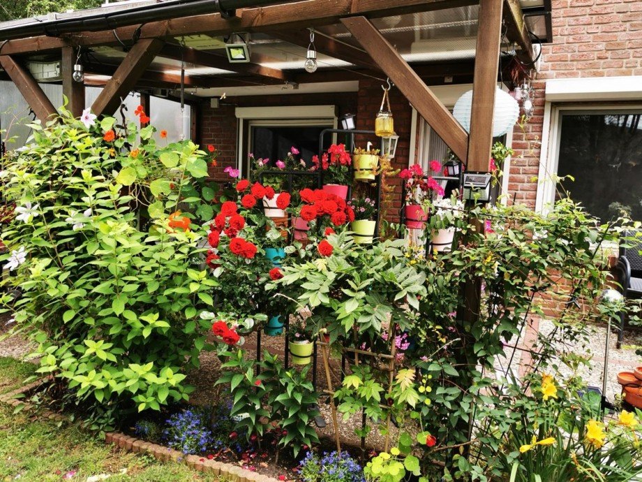 Garten-Impressionen Maisonettewohnung Hamburg