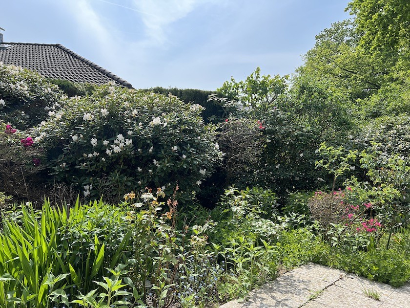  Reihenendhaus Norderstedt