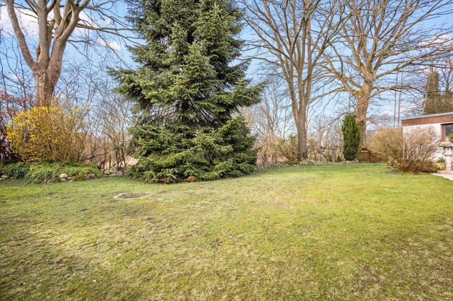 Blick ins Naturgebiet Einfamilienhaus Henstedt-Ulzburg