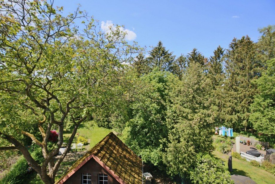 Ausblick Maisonettewohnung Norderstedt