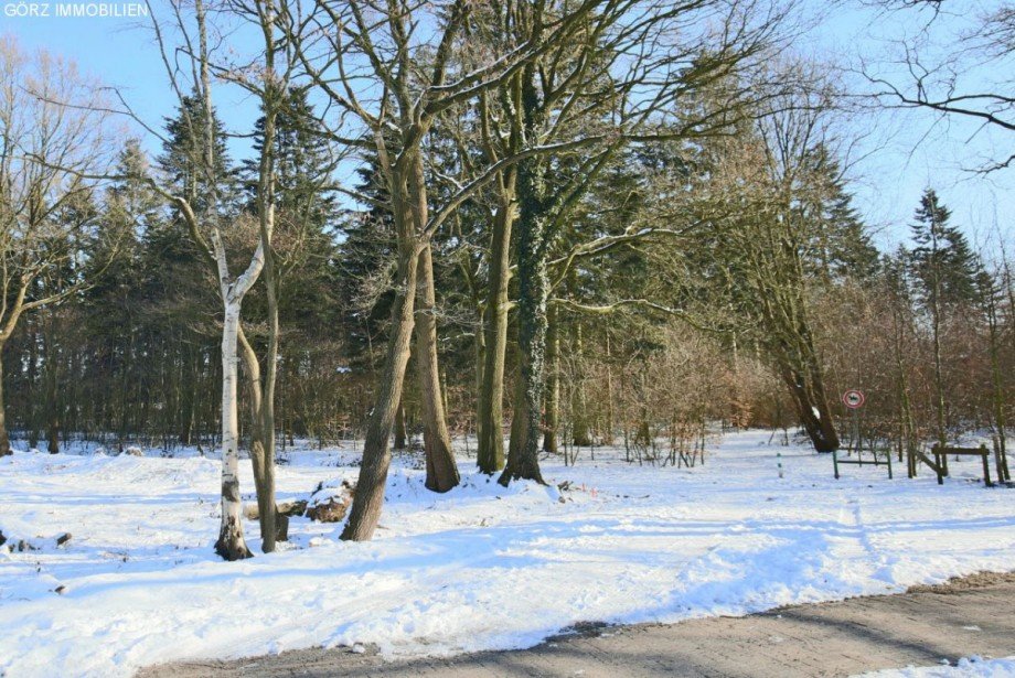 Natur direkt vor der T�r Einfamilienhaus Henstedt-Ulzburg