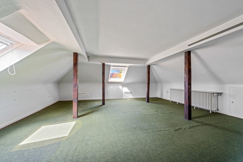 Dachstudio mit zwei Veluxfenstern Einfamilienhaus Norderstedt / Glash�tte