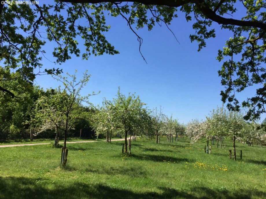 gr�nes Umfeld Haus Quickborn-Heide