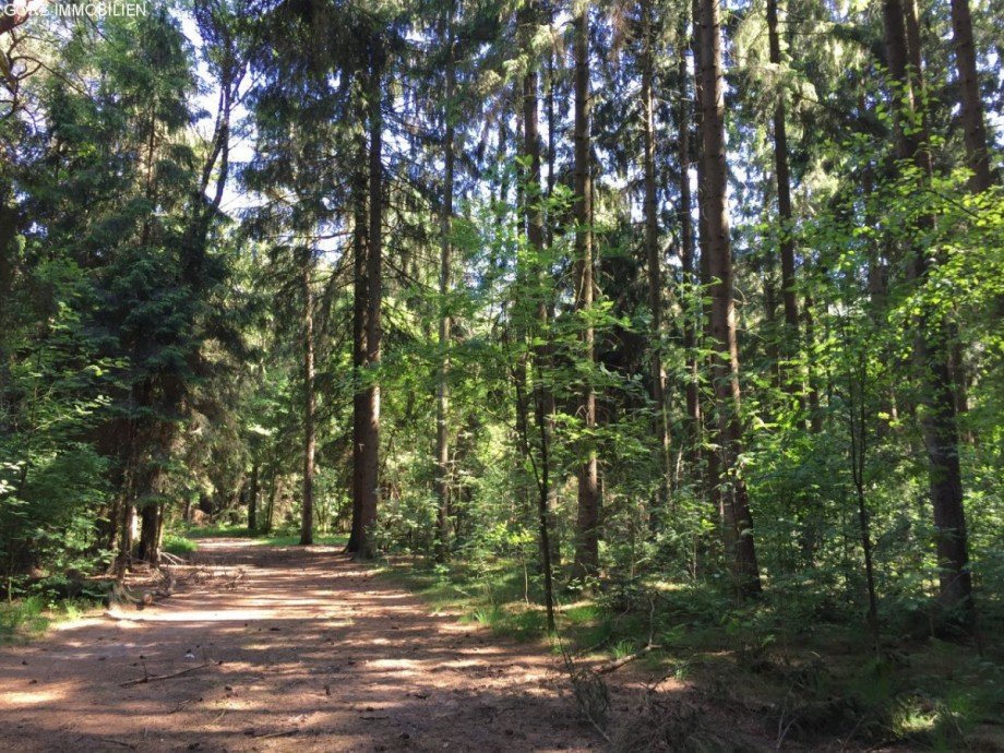 Wald Haus Quickborn-Heide