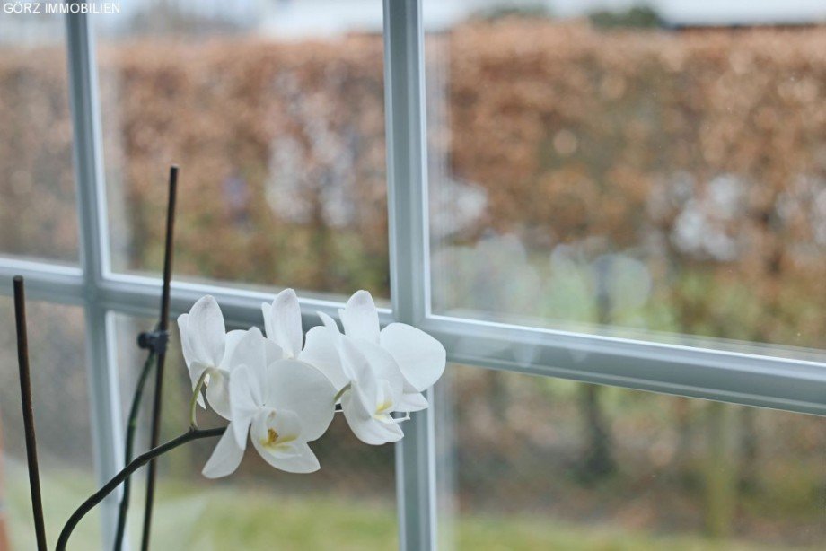 Zu Hause! Doppelhaush�lfte Quickborn-Heide