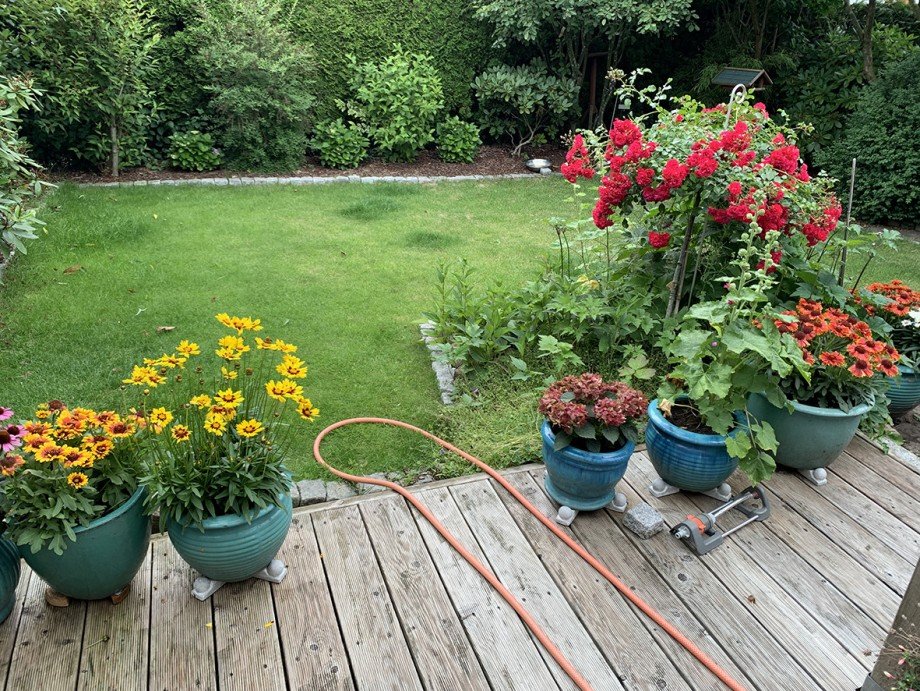 sch�n angelegter Garten Doppelhaush�lfte Henstedt-Ulzburg