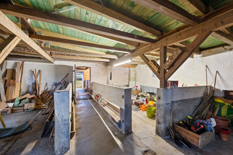 Stall Stadthaus Tangstedt