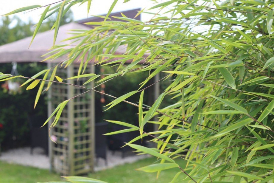 Gartenpavillon: den Garten auch bei Regen genie�en! Reihenendhaus Pinneberg