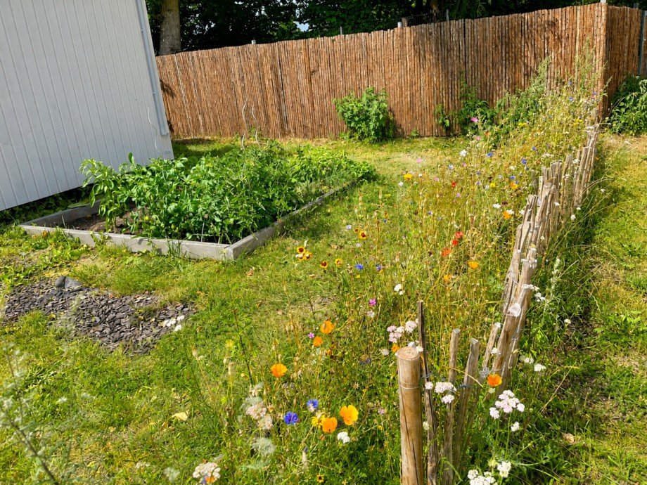Garten mit Wildpflanzen Haus Itzstedt